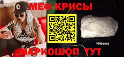 спайс Кингисепп