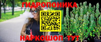крисы Кимры