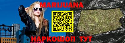 спайс Кингисепп
