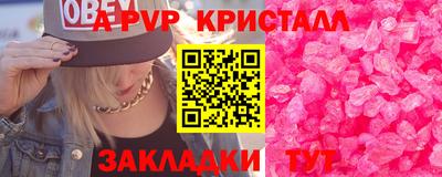 спайс Кингисепп