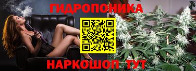 спайс Кингисепп
