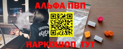спайс Кингисепп