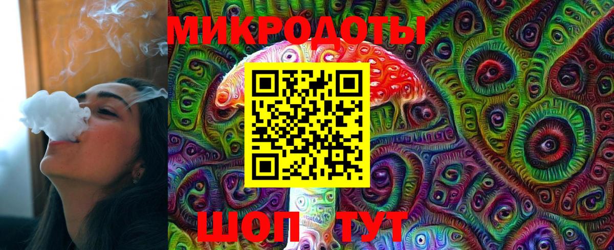 Галлюциногенные грибы Cubensis Саяногорск