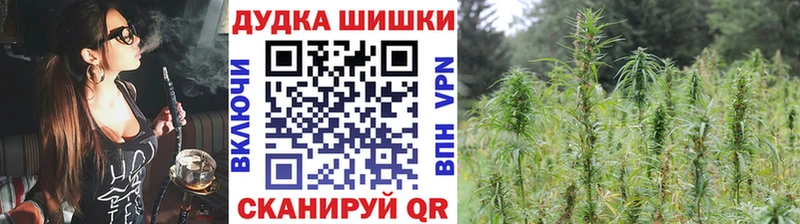 где можно купить Саяногорск Шишки марихуана SATIVA & INDICA
